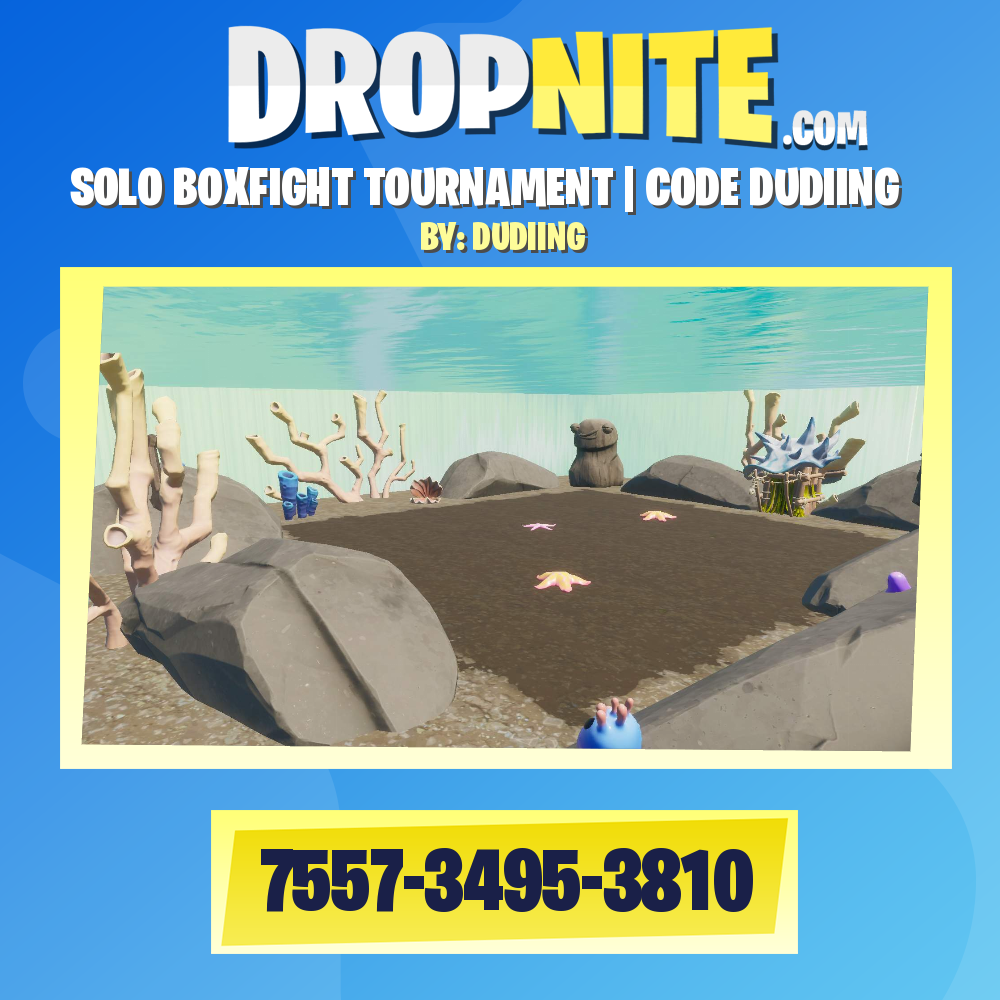 SOLO BOXFIGHT TOURNAMENT | CODE DUDIING