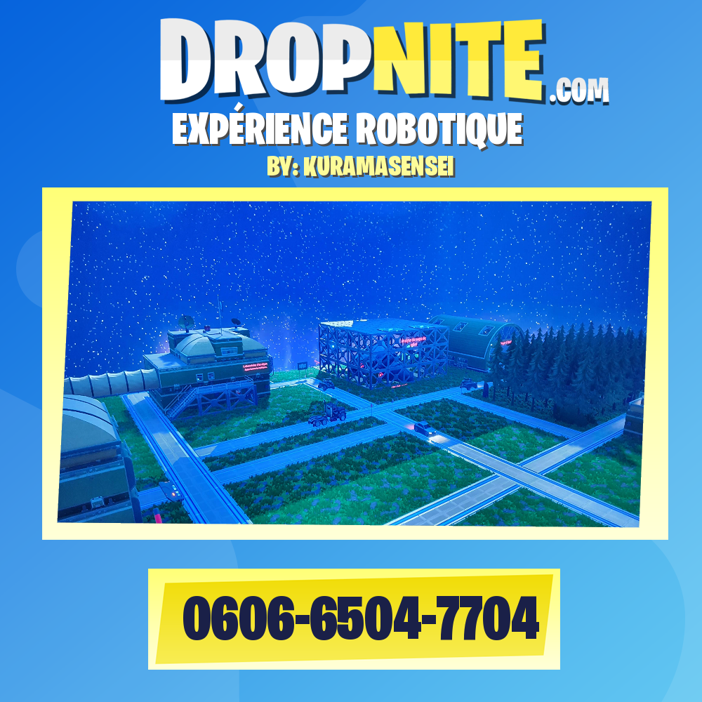 EXPÉRIENCE ROBOTIQUE