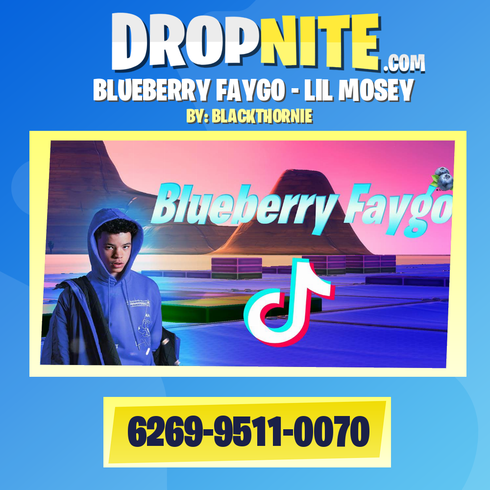 BLUEBERRY FAYGO - LIL MOSEY
