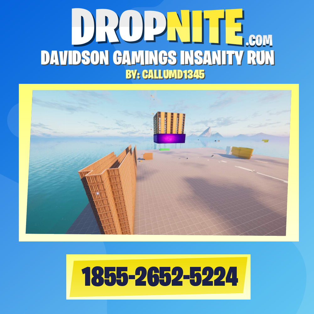 DAVIDSON GAMINGS INSANITY RUN