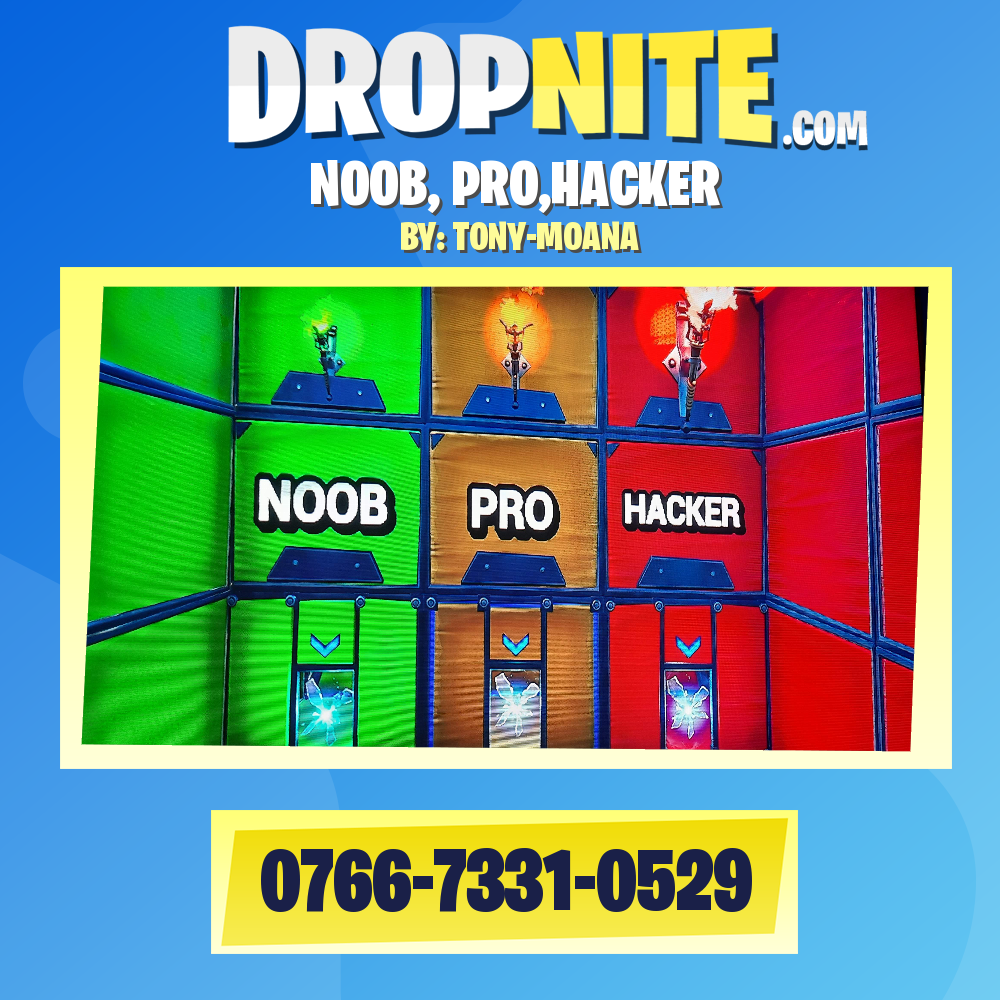 NOOB, PRO,HACKER