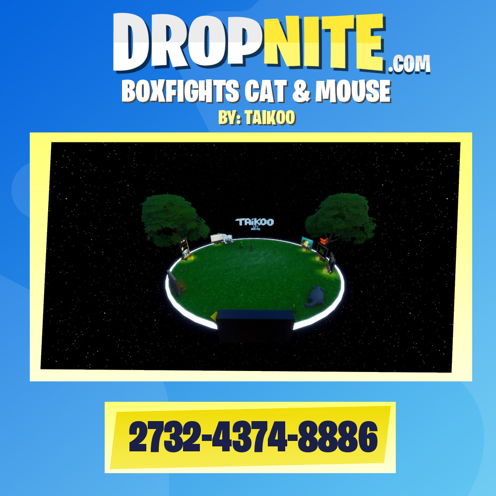 BOXFIGHTS CAT & MOUSE