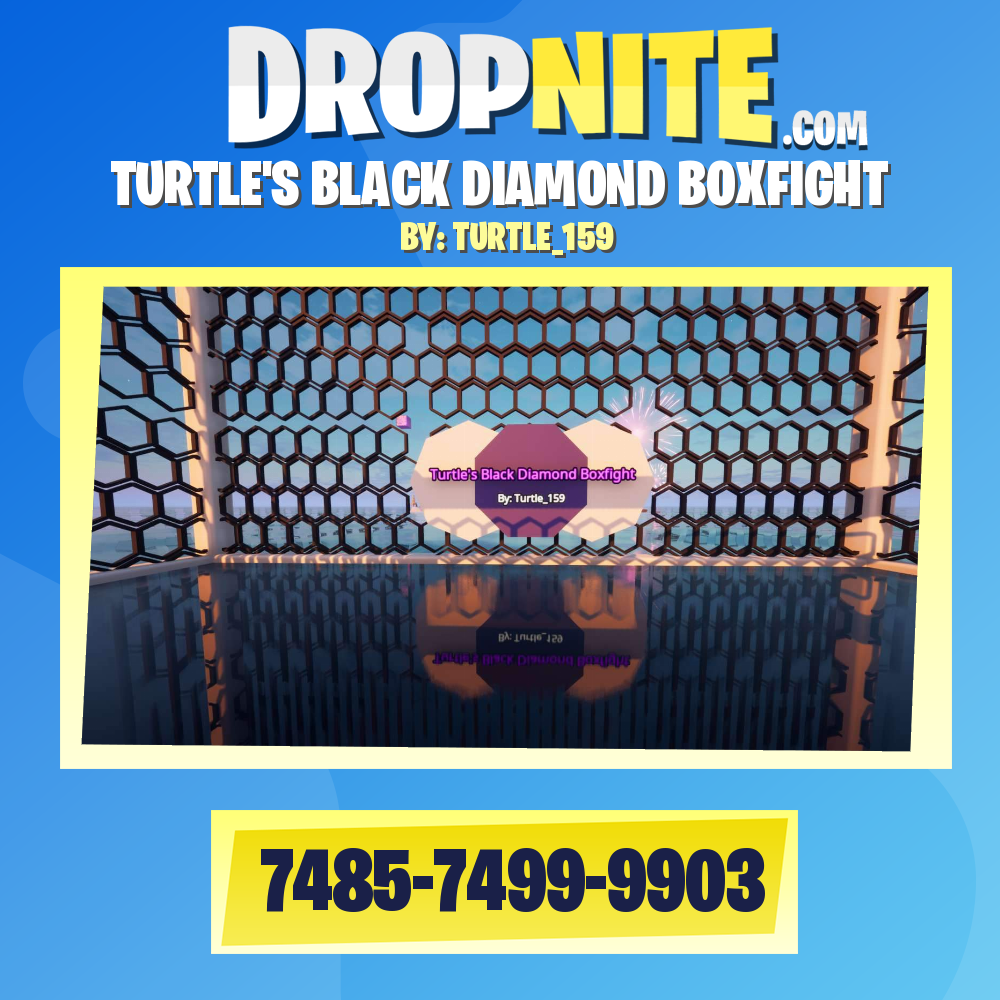 TURTLE'S BLACK DIAMOND BOXFIGHT