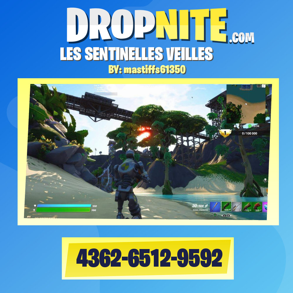 LES SENTINELLES VEILLES