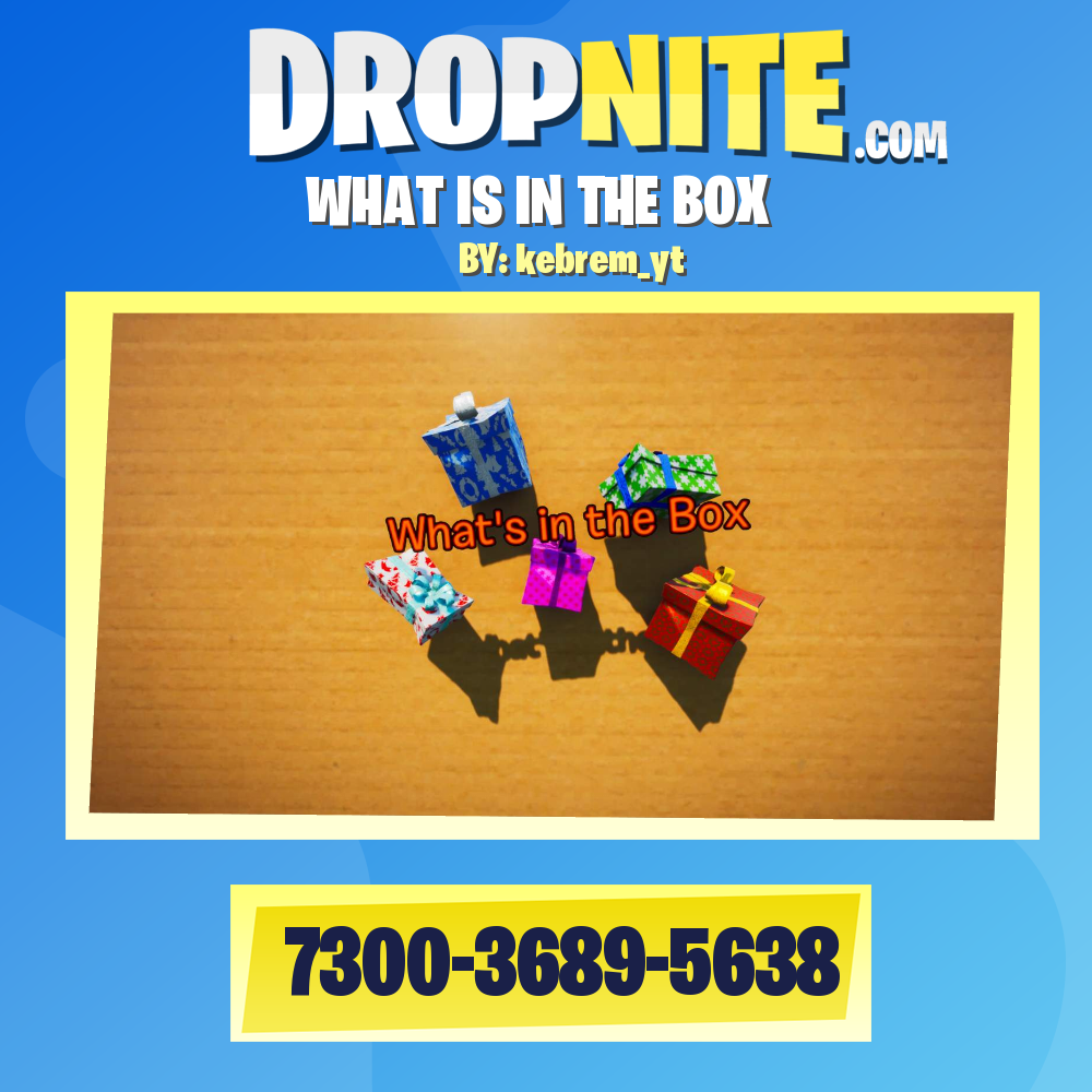 WHAT IS IN THE BOX