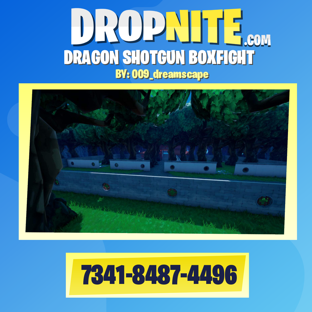 DRAGON SHOTGUN BOXFIGHT