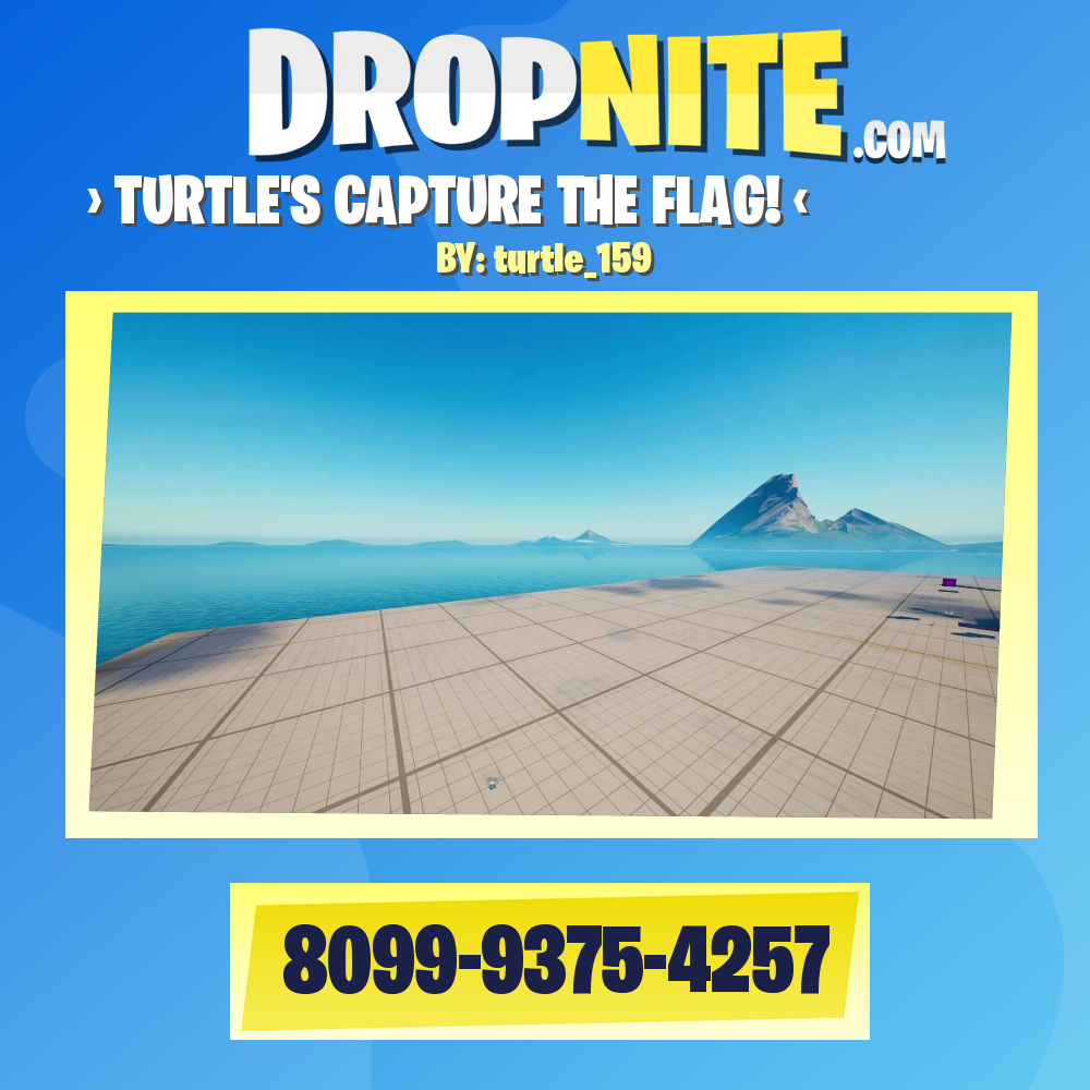 › TURTLE'S CAPTURE THE FLAG! ‹