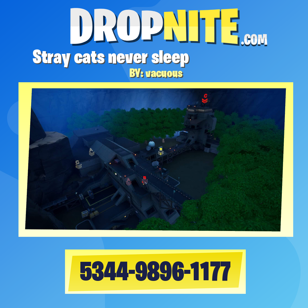 野良猫は眠らないーStray cats never sleepー