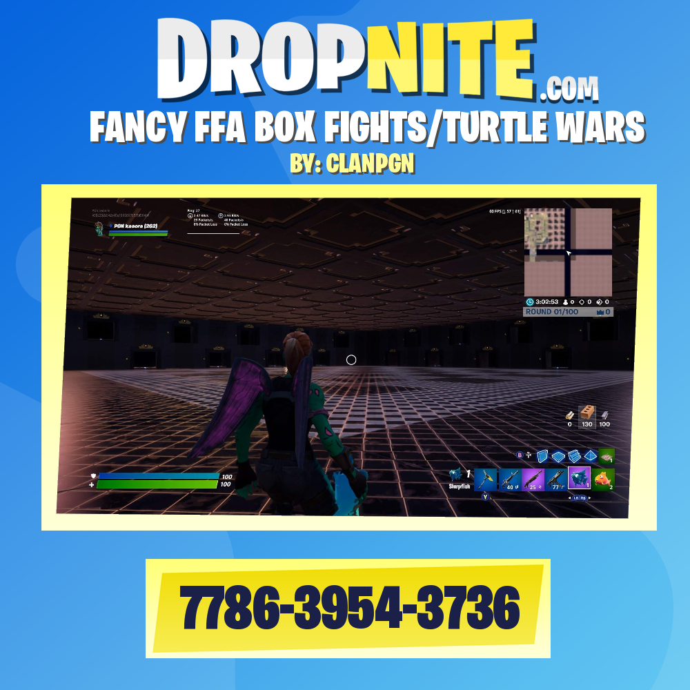 FANCY FFA BOX FIGHTS/TURTLE WARS