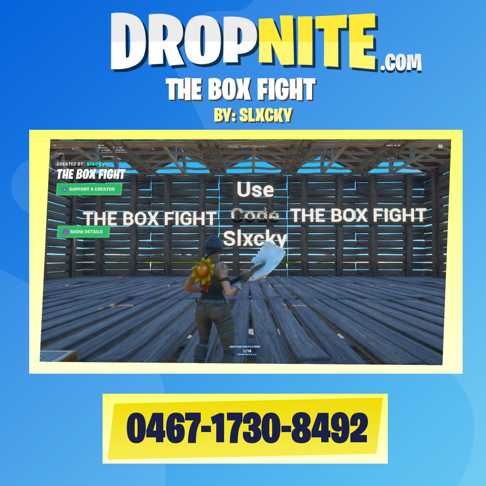 THE BOX FIGHT