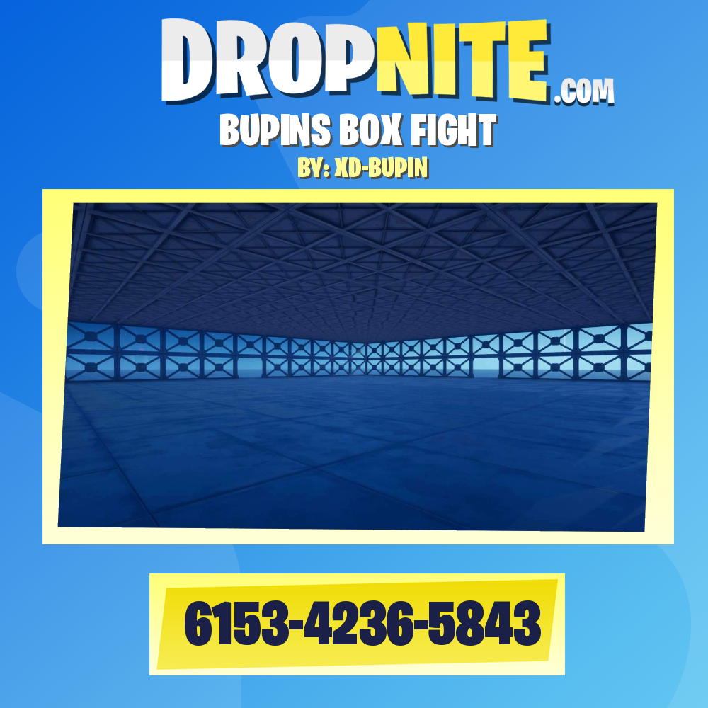 BUPINS BOX FIGHT